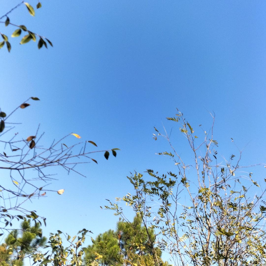 忆流年