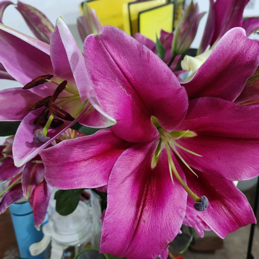 半梦半醒半浮沉