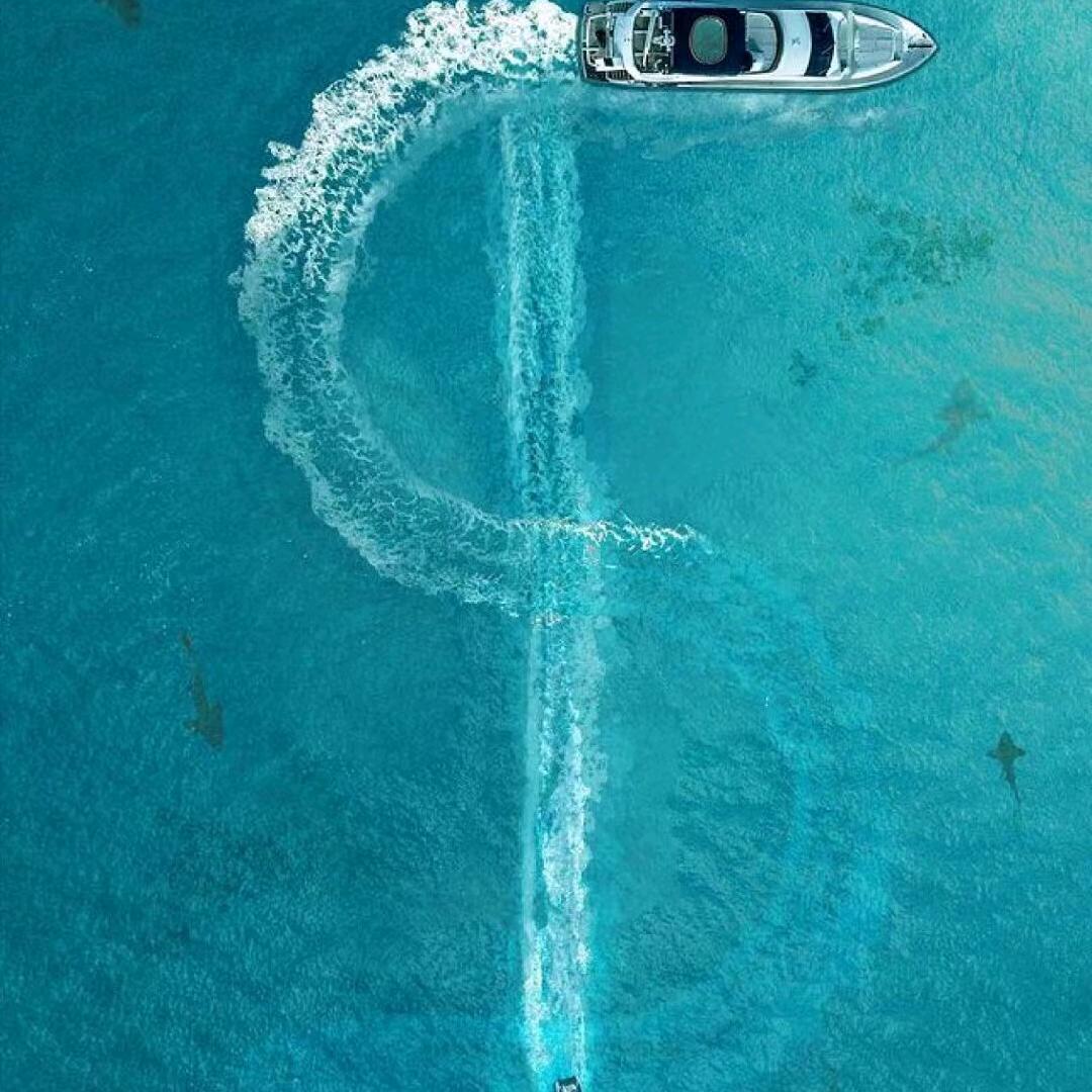 N歌