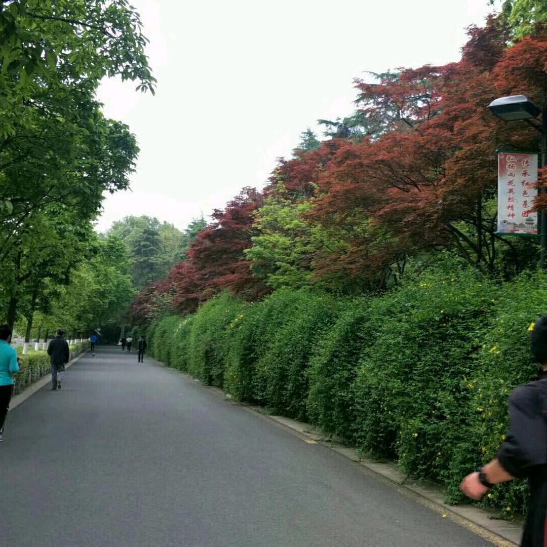 利旺