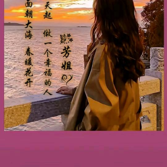 超越梦想。🌹🌹🌹🌹🌹