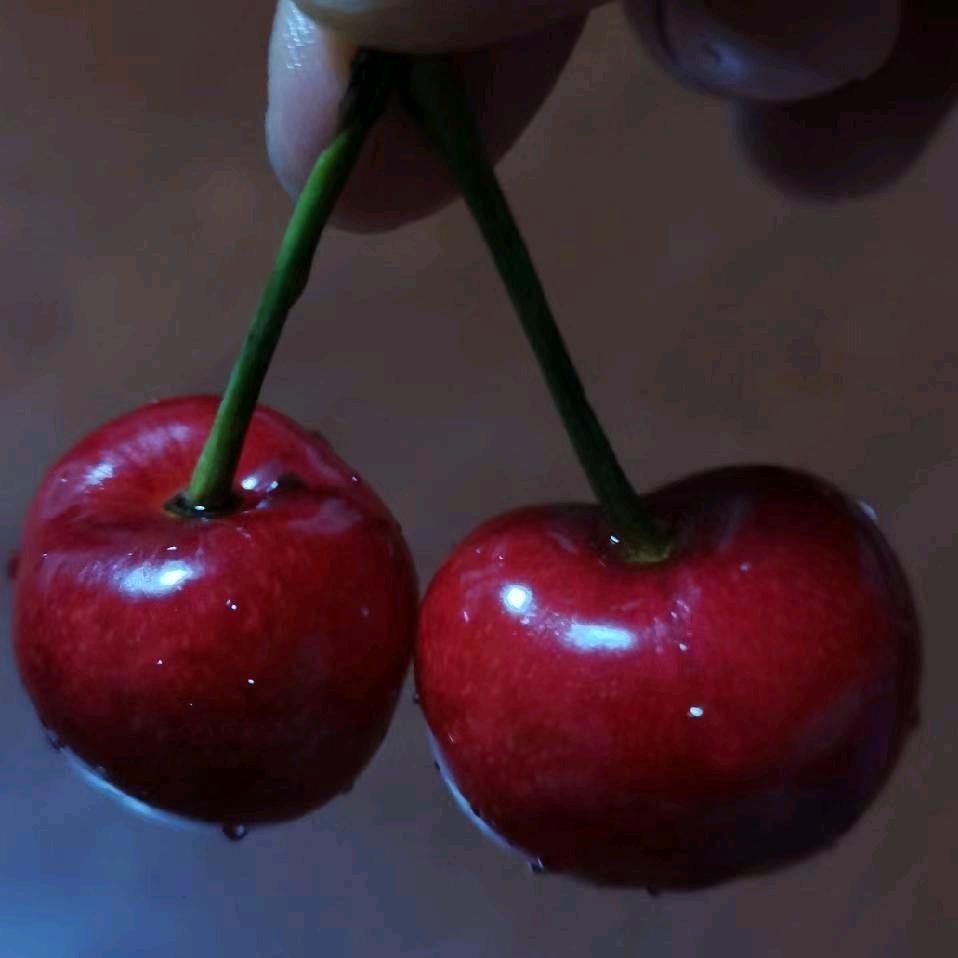 自己靠自己走遍天涯海角