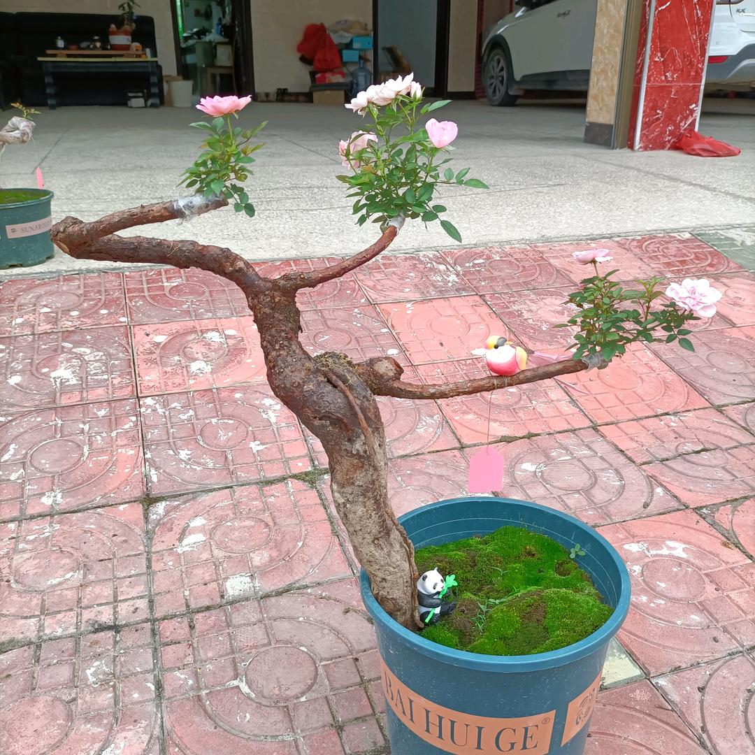 泉水叮咚
