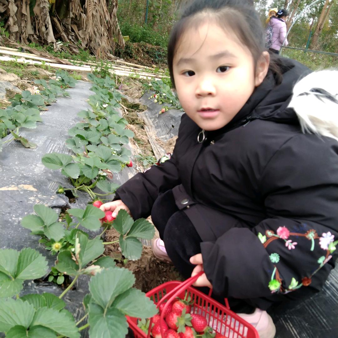 weishan