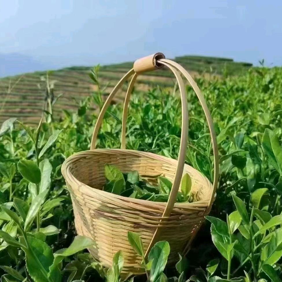 只为伊人（橱窗有好物）