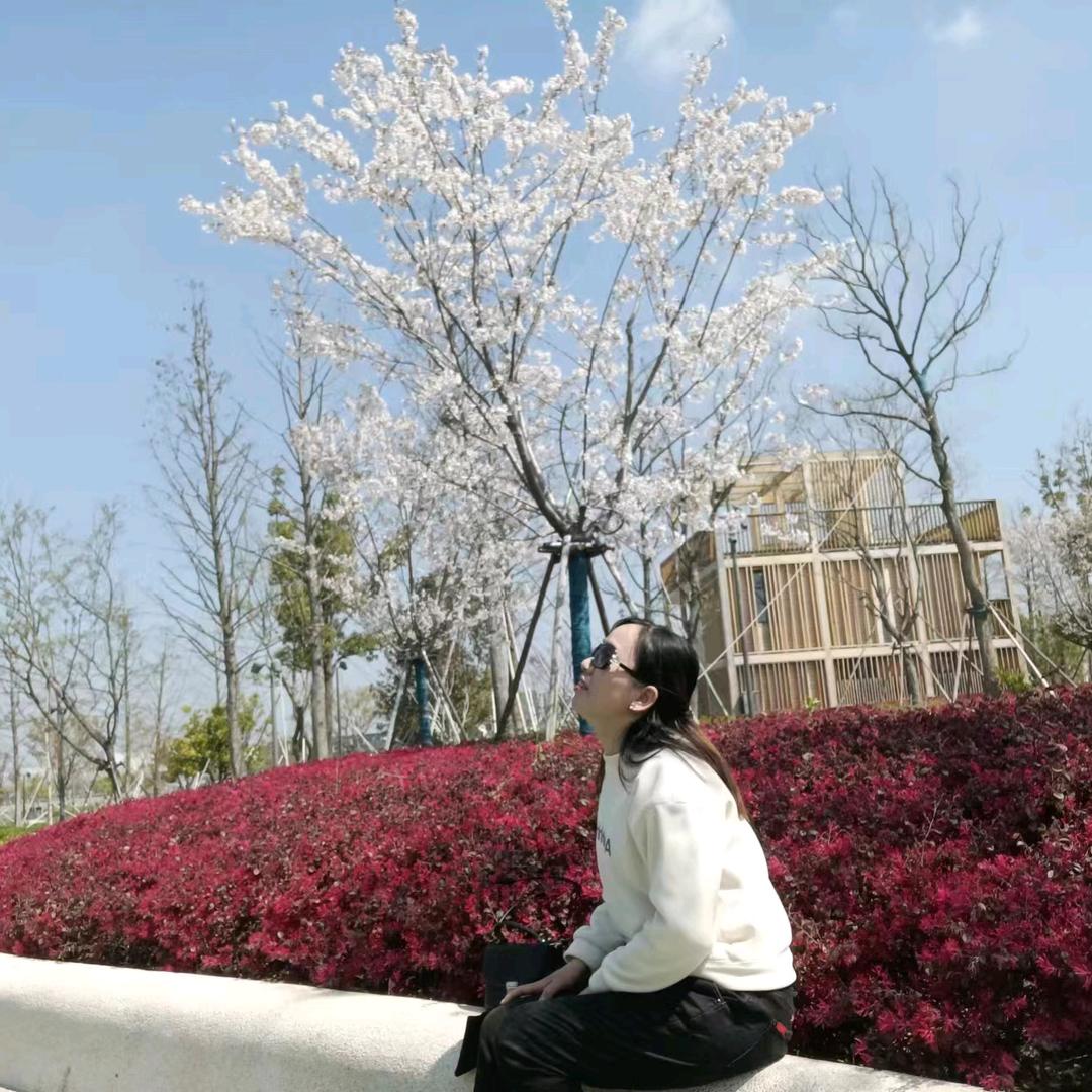 千年之恋