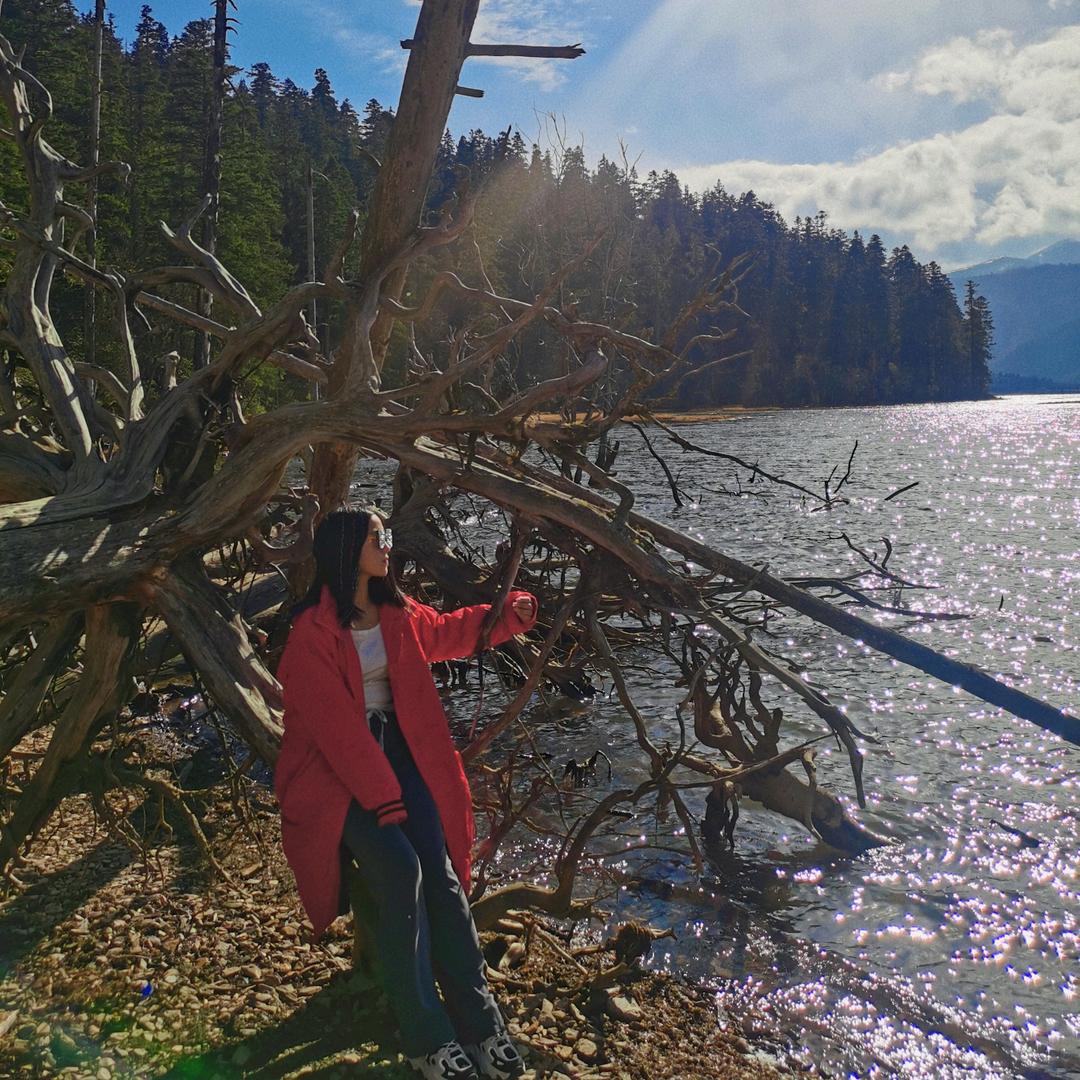 敷衍， 怎么演？