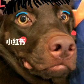 自己能抗就别声张