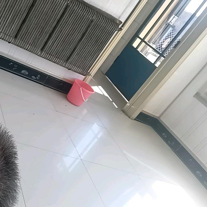 司囤福