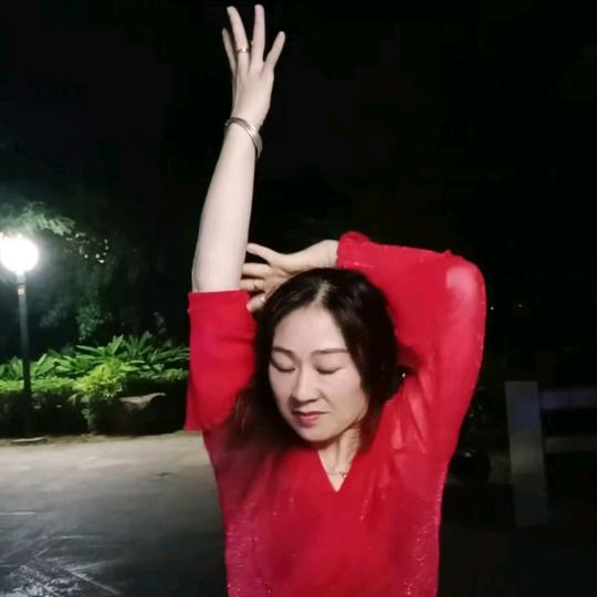 迷人的白玫瑰