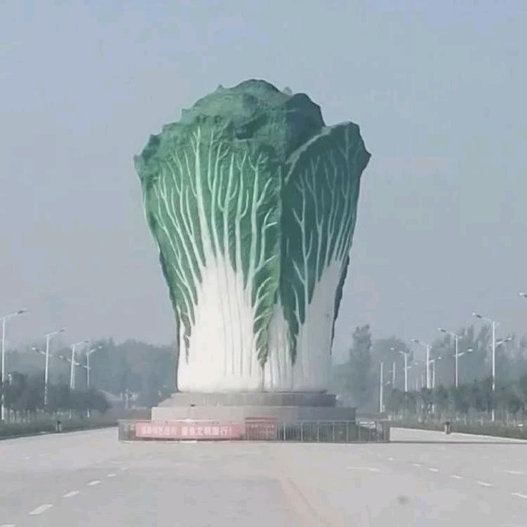 退伍老兵