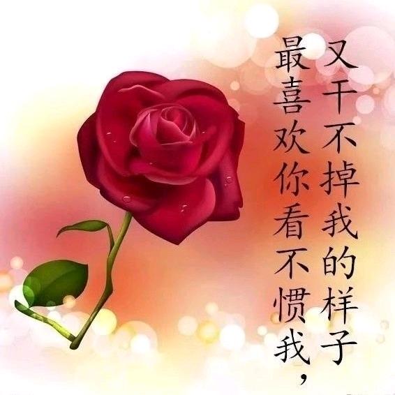 💕遇事💅不慌张💕