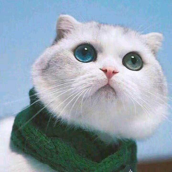 你总说让我慢慢来