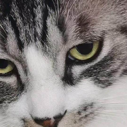 中盛商贸精选店-严选