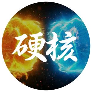 Leo留学申请