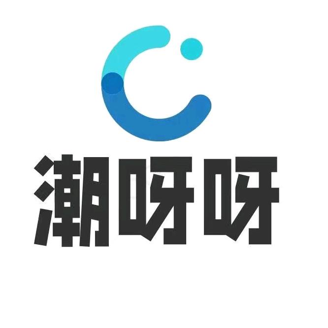 潮呀呀数码专营店