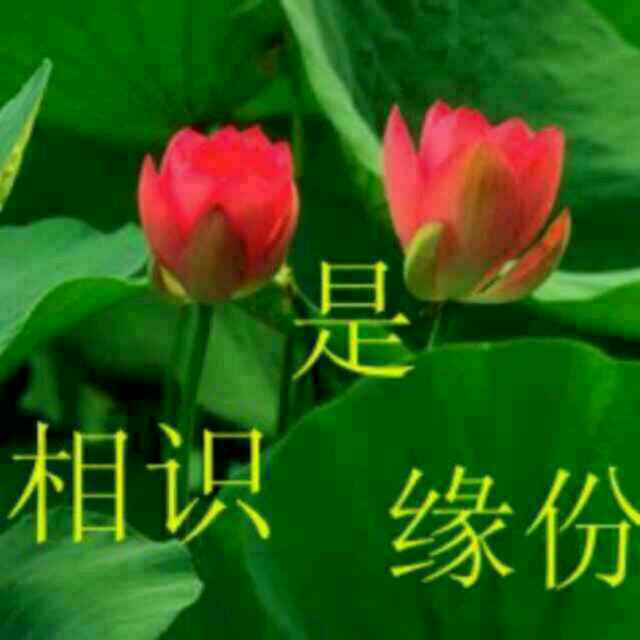 @吉祥如意