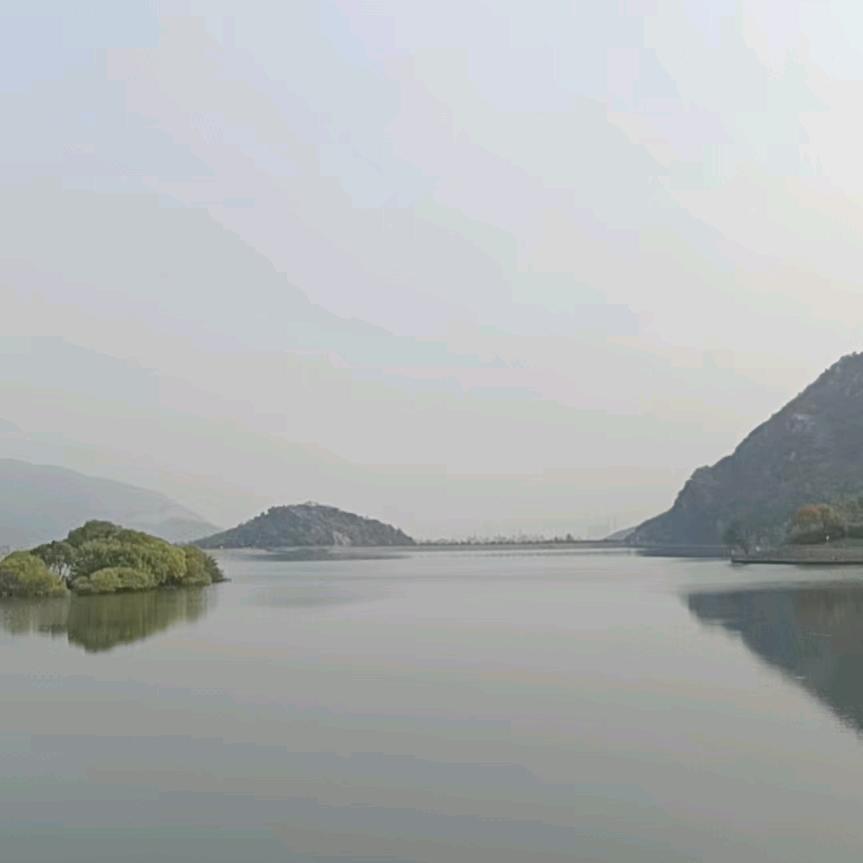 🌾秋天的稻子🌾