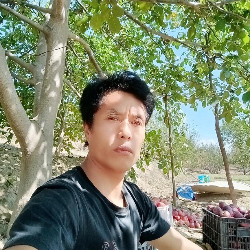 W单身梦想