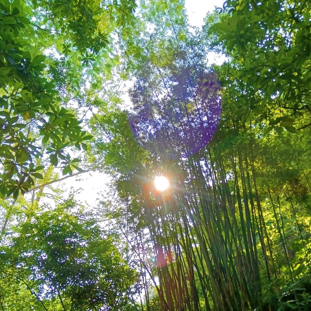 何得何能