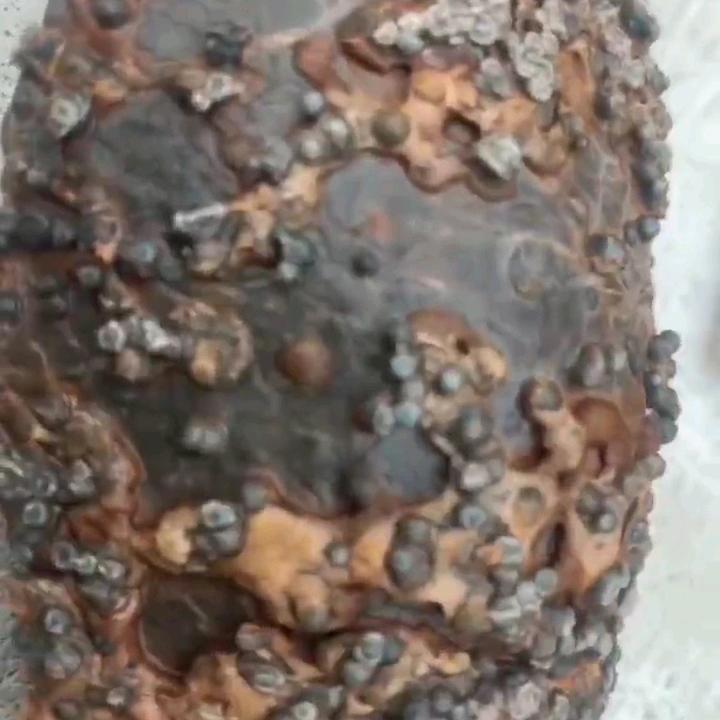 陨石王