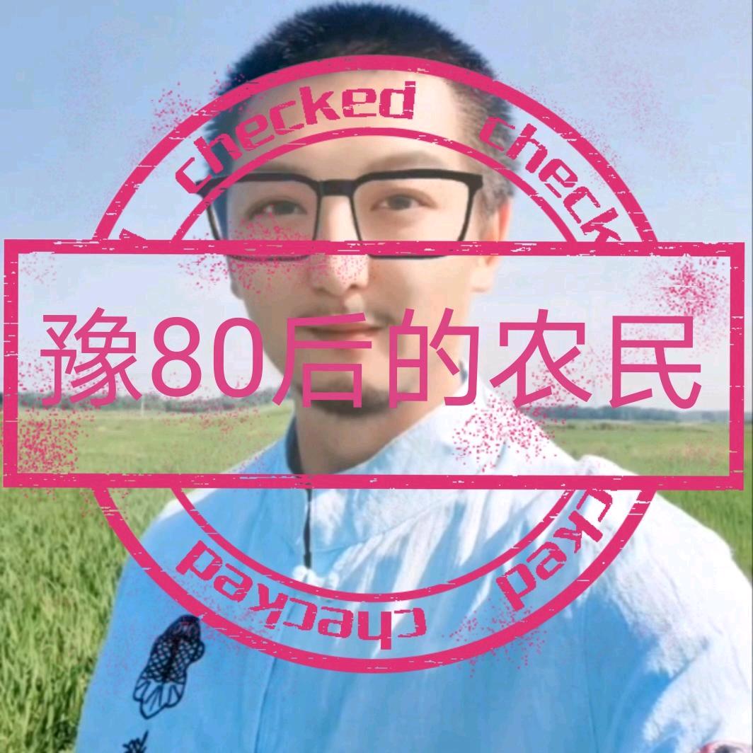 豫80农民