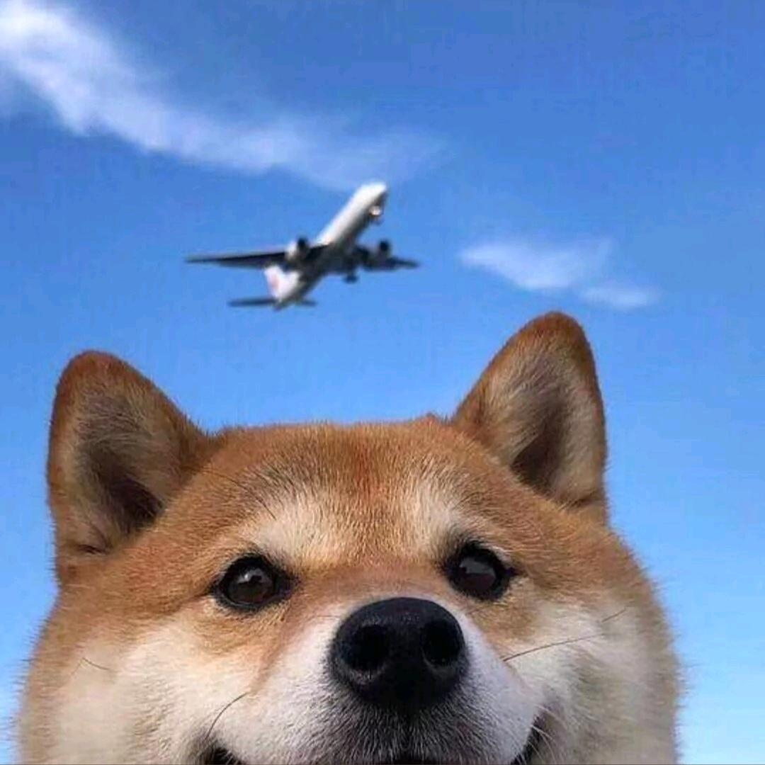 磨炼_