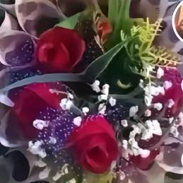 明天更好🌹🍇🌹