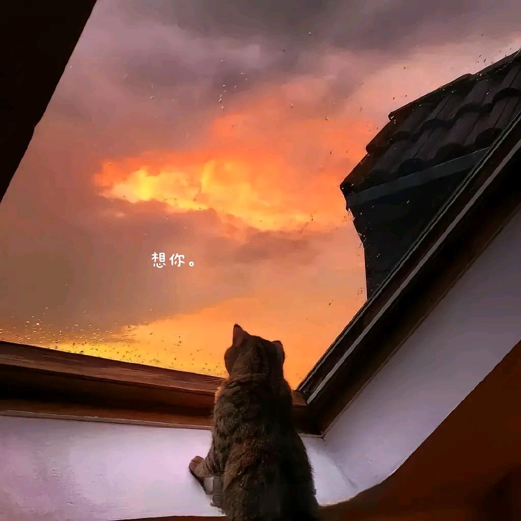 We