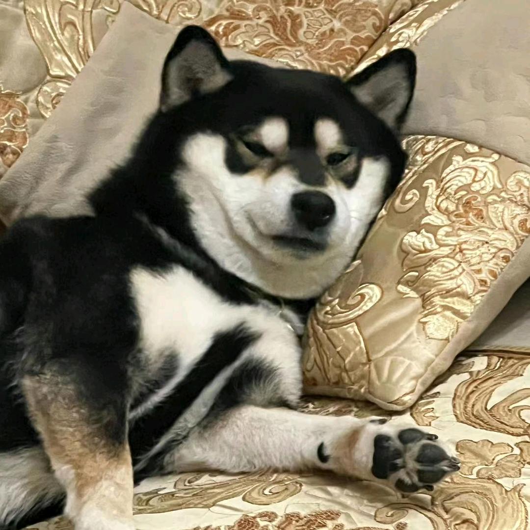 自律的（夯大力