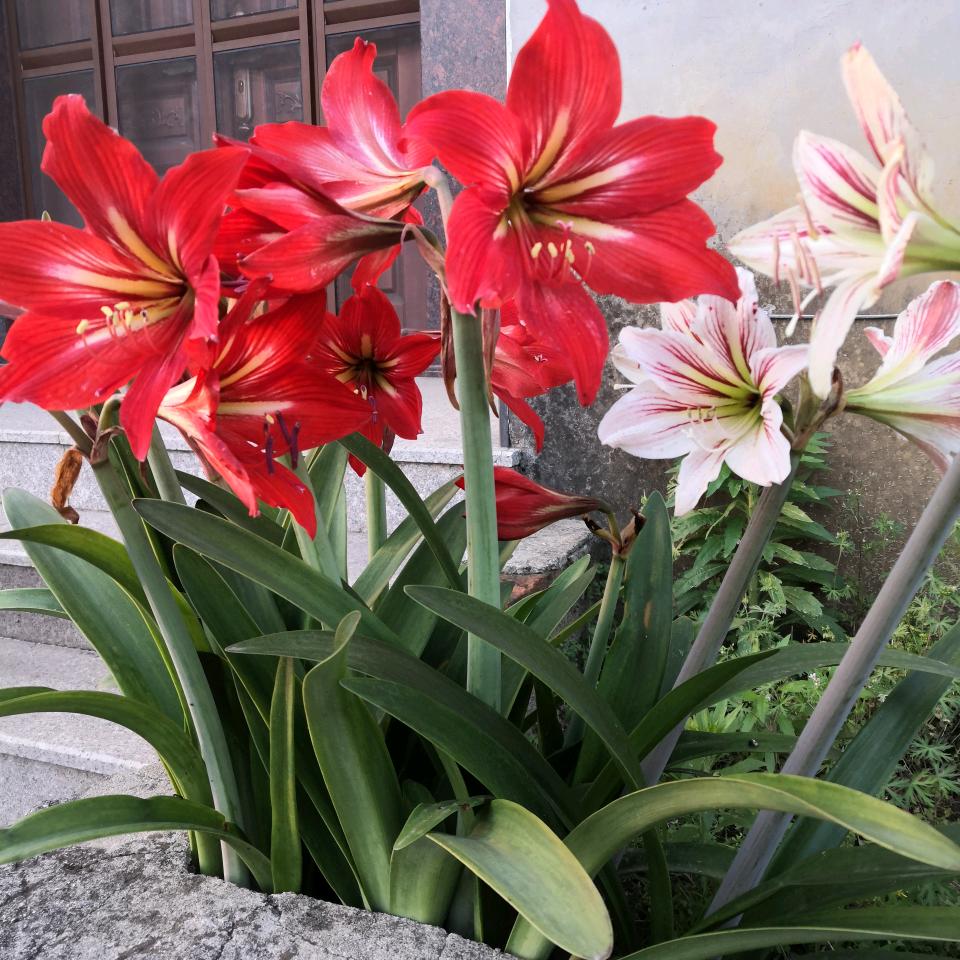 悠哉悠哉