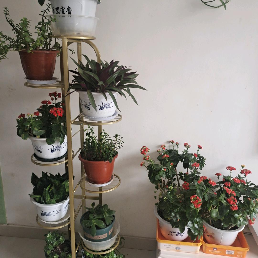 专业铺砖（窦，王）