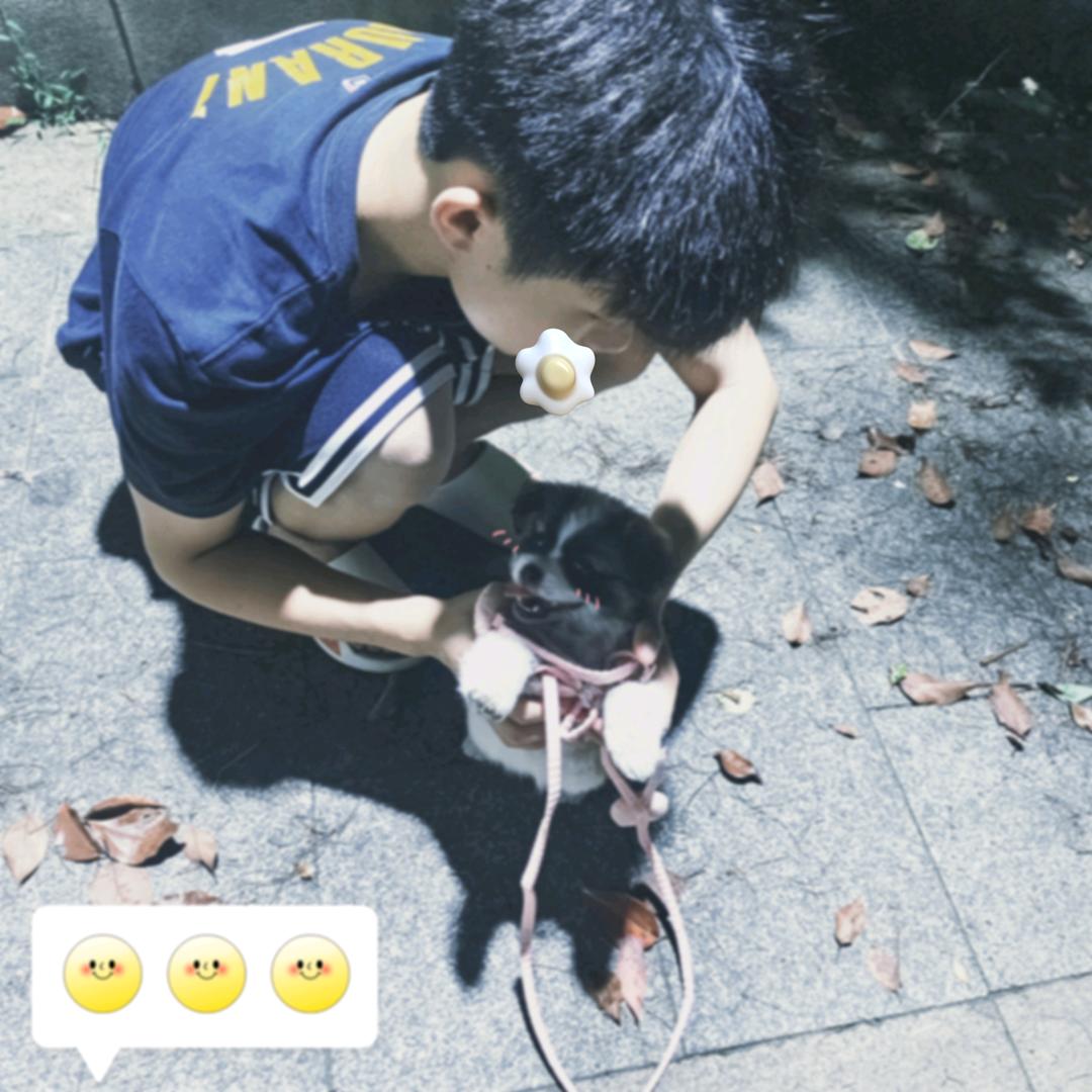 耿.