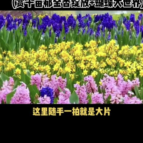 小草