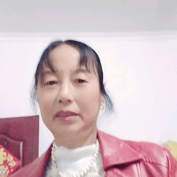 菊、