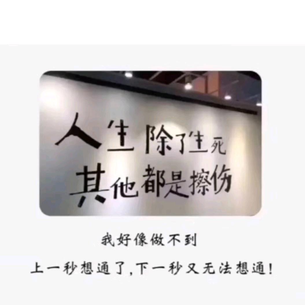 溪东_村长