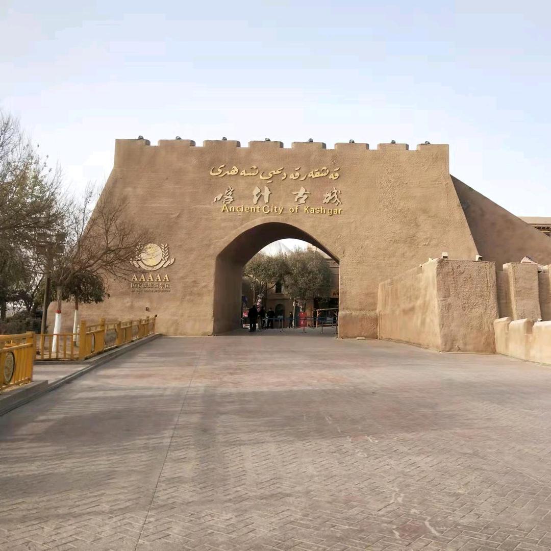 大漠胡杨