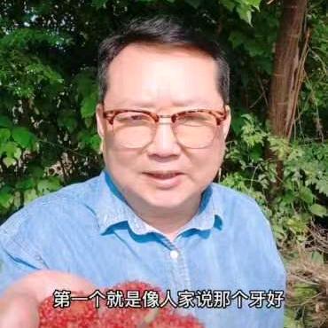 老姚农业聊