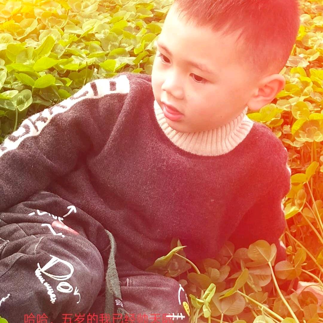 笑看风云过