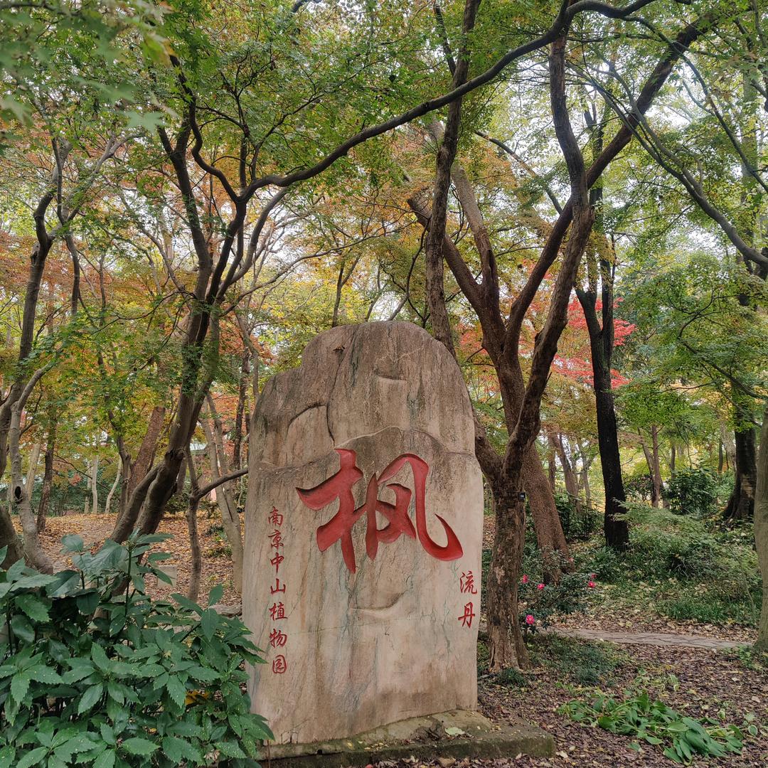 大路