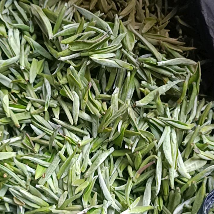 金浩斯特肥料代理点，高效肥，质量保证