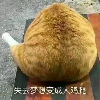 某不知名天梯爱好者