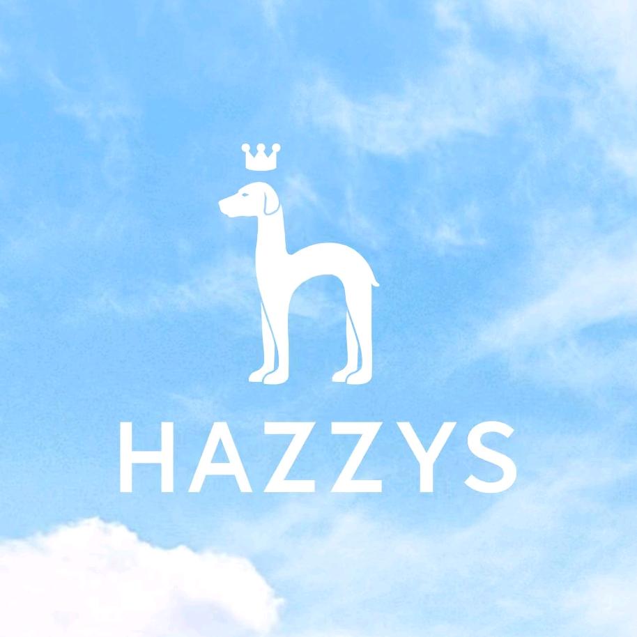 Hazzys哈吉斯时尚旗舰店