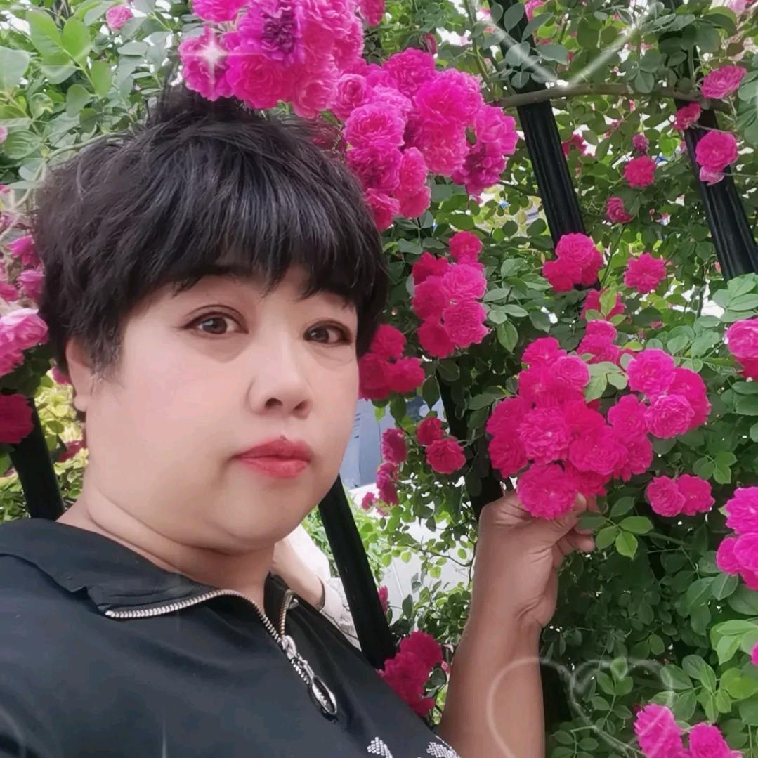 我爱我家