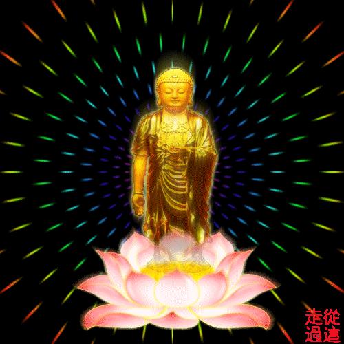 叶枫