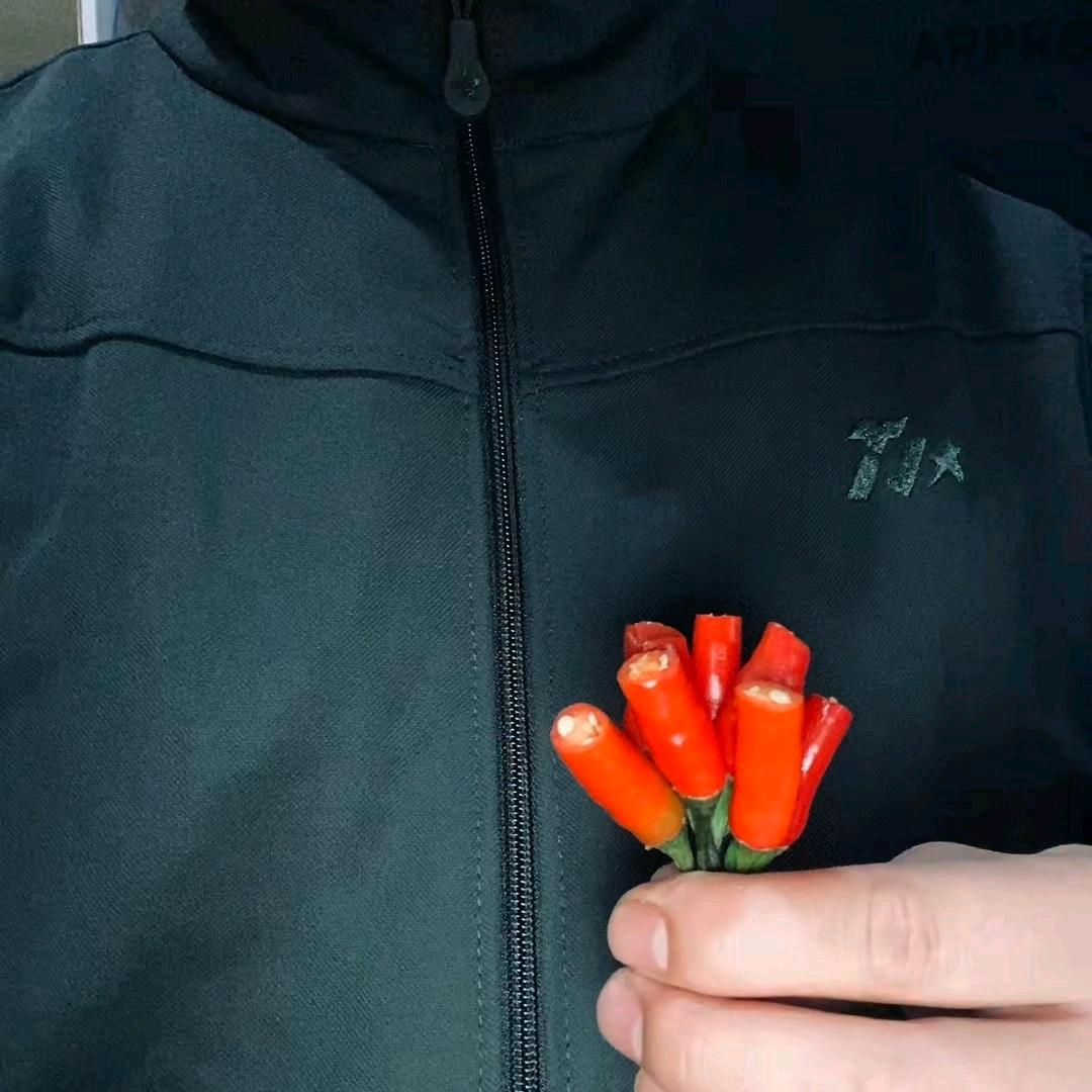 贰拾壹' ︾