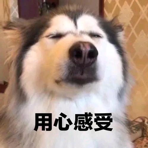 派大星（三角洲）