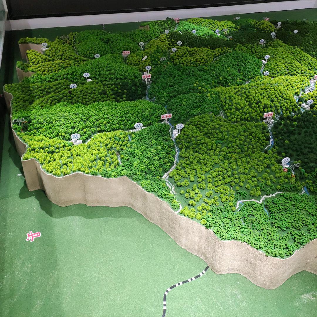 逆流翱翔的雁