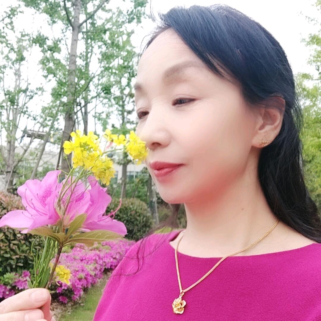 枯叶蝶🦋
