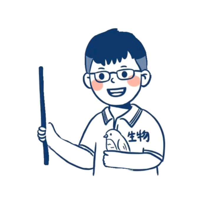 新视野